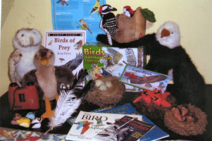 Birds