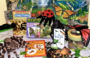 Insects